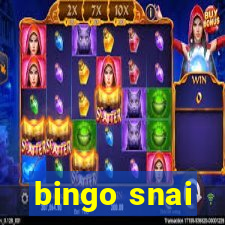 bingo snai