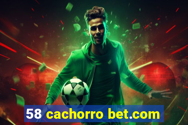 58 cachorro bet.com