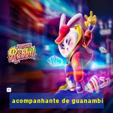 acompanhante de guanambi