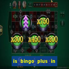 is bingo plus in gcash legit