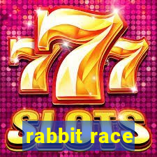 rabbit race