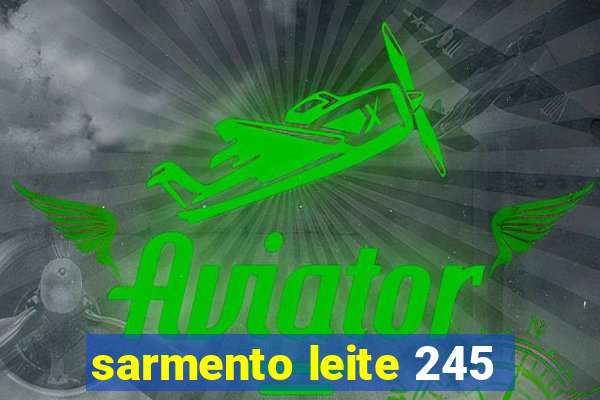 sarmento leite 245