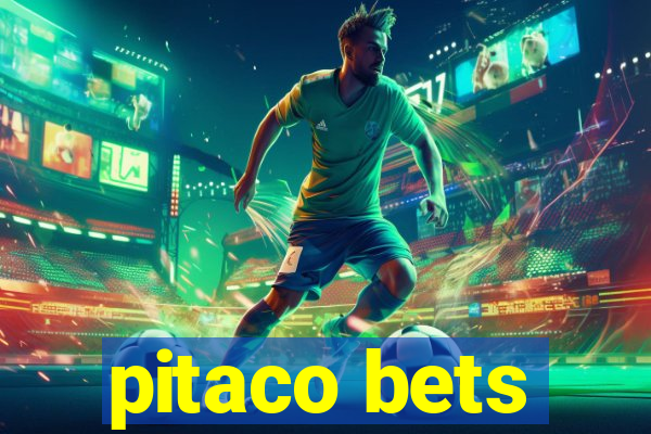 pitaco bets