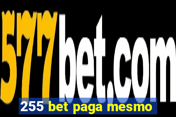 255 bet paga mesmo