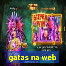 gatas na web