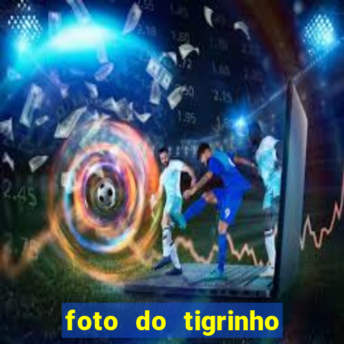 foto do tigrinho do jogo