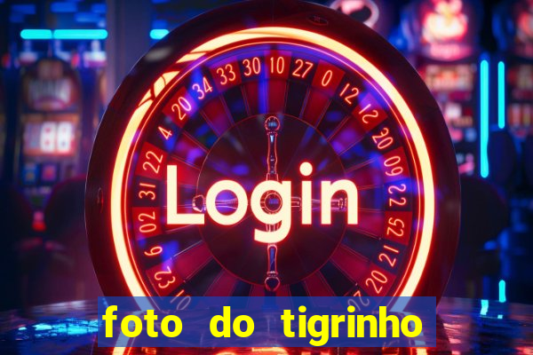 foto do tigrinho do jogo