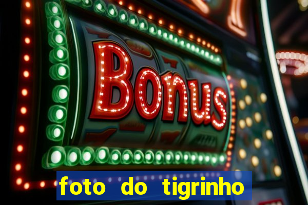 foto do tigrinho do jogo