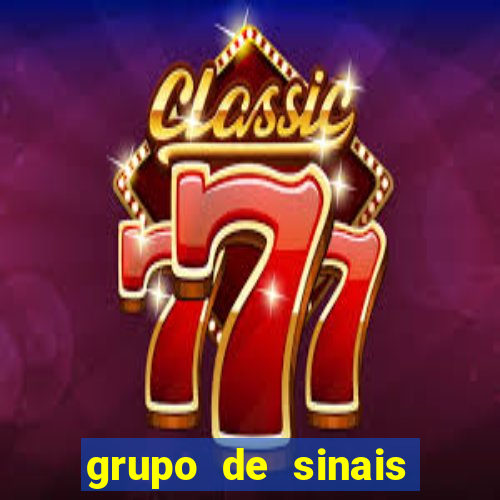 grupo de sinais fortune rabbit