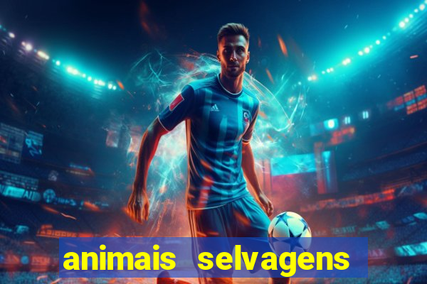 animais selvagens fotos e nomes