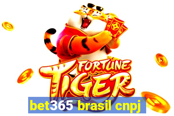 bet365 brasil cnpj