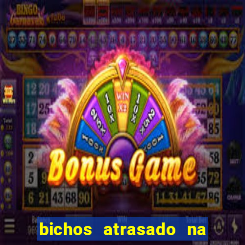 bichos atrasado na loteria dos sonhos