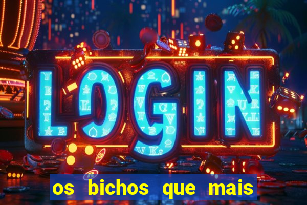 os bichos que mais saem na loteria federal