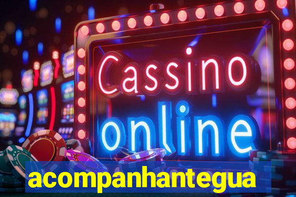 acompanhanteguanambi