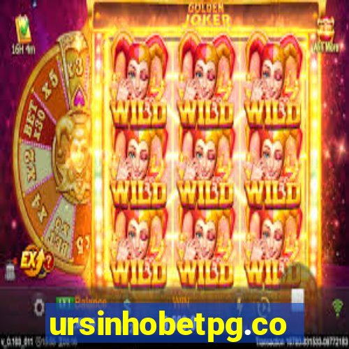 ursinhobetpg.com