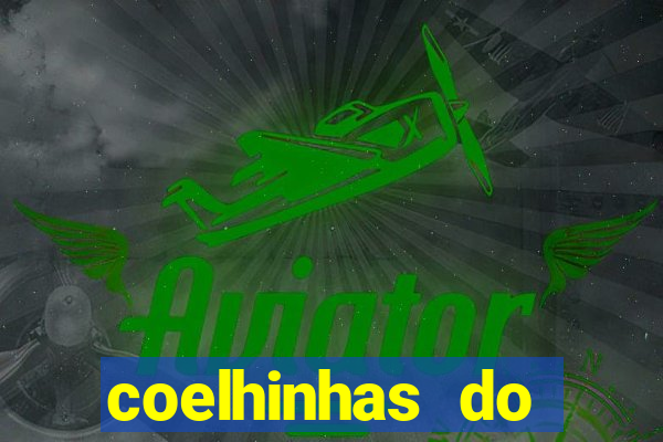 coelhinhas do brasil recife