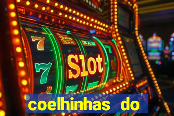 coelhinhas do brasil recife