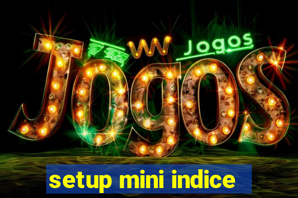 setup mini indice