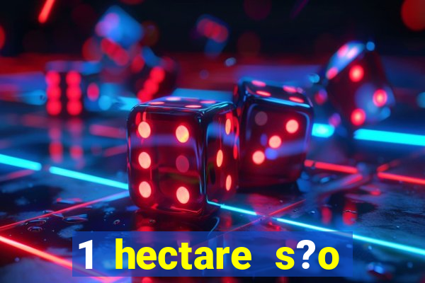 1 hectare s?o quantas tarefas na bahia