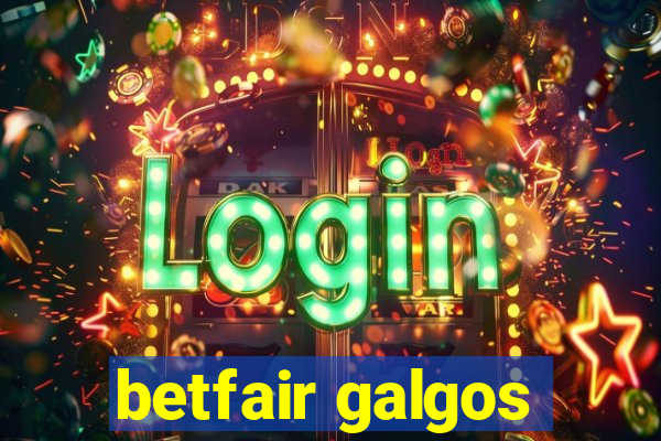 betfair galgos