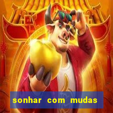 sonhar com mudas de plantas